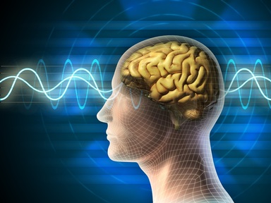 Those with more negative beliefs about ageing had a greater decline in the volume of their brain’s hippocampus which is also an indicator of Alzheimer’s disease.