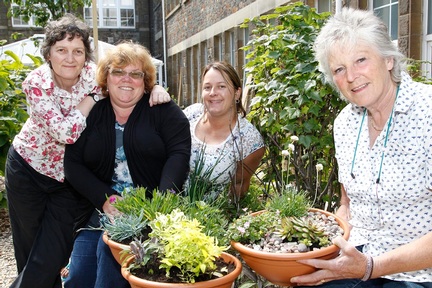 Ecotherapy Such As Indoor Gardening Creates Positivity In Cancer Patients