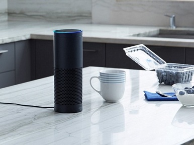 Amazon Echo Credit: Amazon