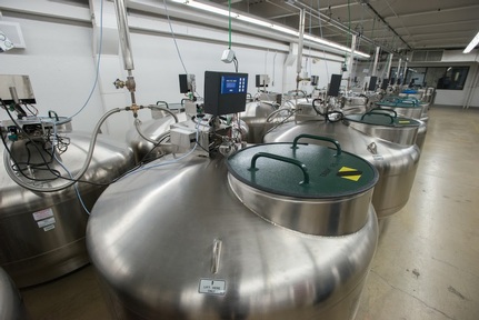Cryogenics tanks for storing frozen bodies