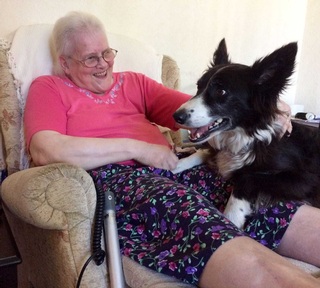 Rosie the therapy dog visiting Gill