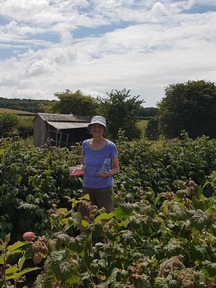 Picking fruit to use for baking
