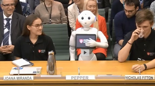 Pepper robot gives evidence to MPs. Credit: Parliament TV
