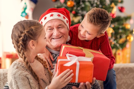 Credit: Olena Yakobchuk/Shutterstock.com