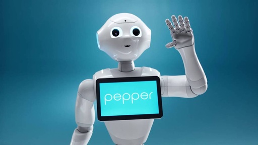 Credit: SoftBank Robotics