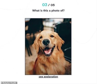One of the five puzzles is an image recognition test.