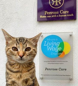 Quita at Penrose Care. Credit: Instagram @quitathekitty