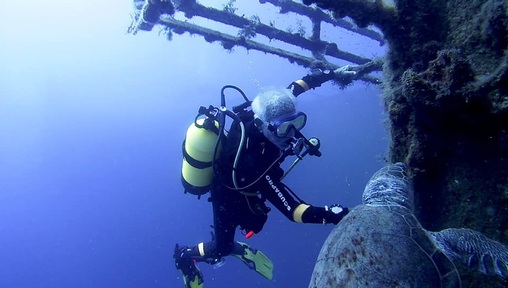 Ray Woolley stops to pat a giant turtle during dive. Credit: Larnaca Tourist Board