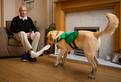 Henry and Uno  Credit: The Dementia Dog Project