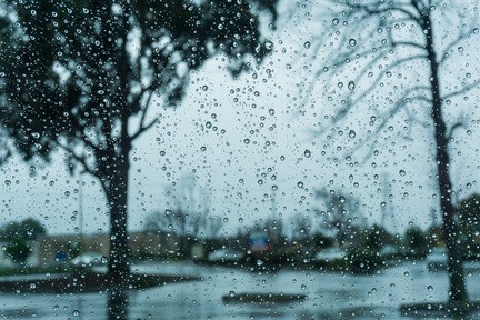 Credit: Sundry Photography/ Shutterstock