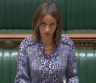 Care minister Helen Whately wears care badge during petition debate. Credit: Parliament TV