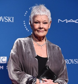Dame Judi Dench Credit: Steve Vas/Featureflash