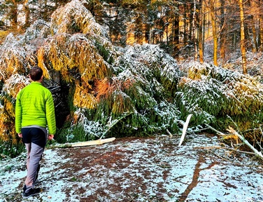 Dr Chris Moss, a Westmorland Homecare director, struggled with access because of a fallen tree in Cumbria. Credit: Westmorland Homecare