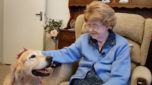 Elsie aged 84, with Pringle the 'friendship dog'.