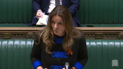 Care minister Gillian Keegan announcing details of White Paper on 1 December. Credit: Parliament TV