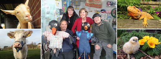 Down to Earth Community Farm offers vulnerable members of local community an interactive escape