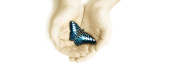 Divine Care Provider Ltd