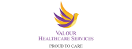 Valour Healthcare Services logo