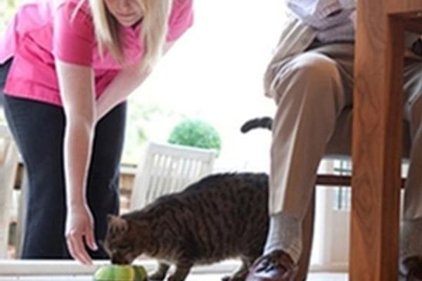 Apex Prime Care Christchurch, 2-3 Fairmile Parade