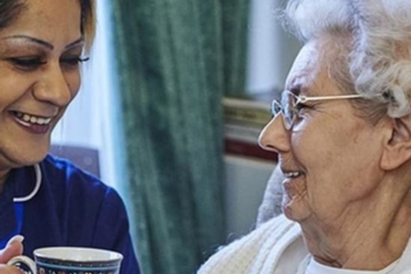 Orchid Care, Suite 43