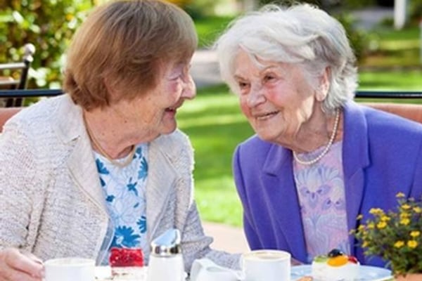 Arbour Companions & Care, Bagshot, Surrey