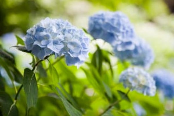 Trinity Homecare - East of England , Bury St Edmunds, Suffolk