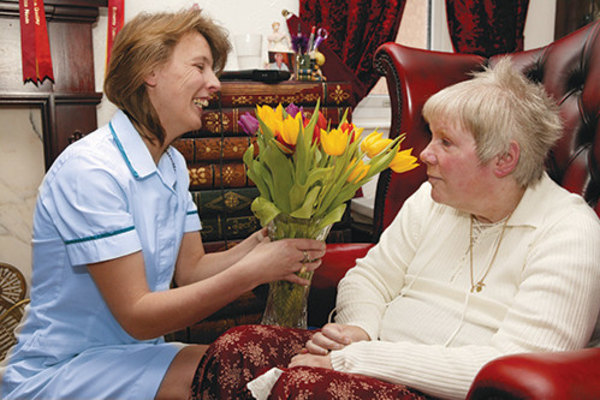 Carelink Healthcare Professionals Ltd, 13 Western Drive
