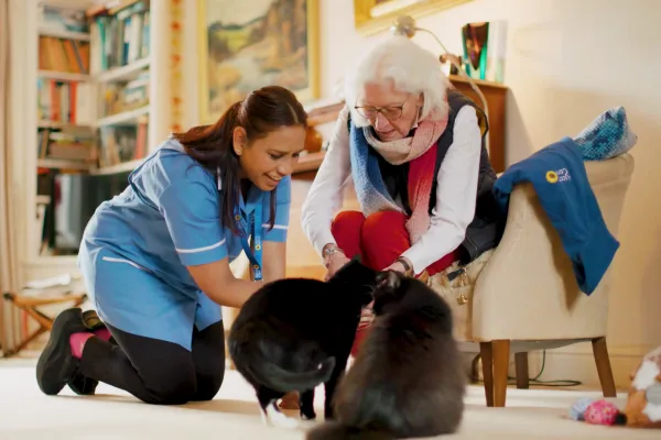Ascot Care, Horsham