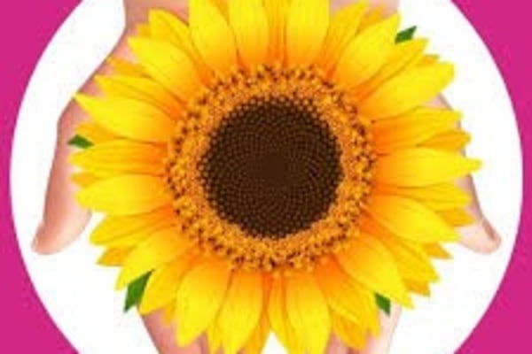 Elite Care Solutions, 13-15 Beechway