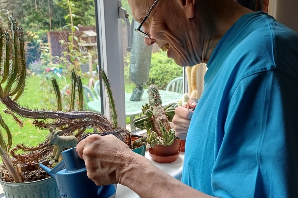 Home Instead (Ipswich, Woodbridge & Felixstowe) IP3 9FF