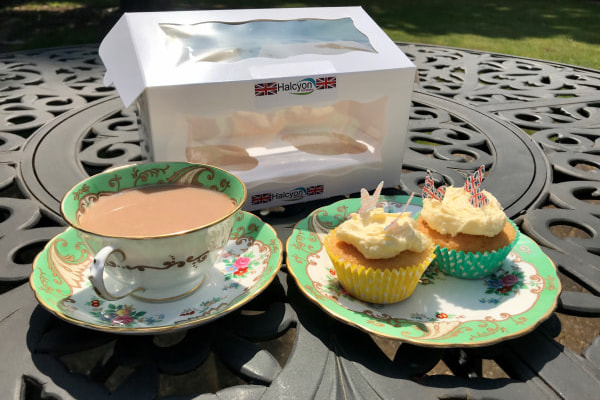 Halcyon Home Care, Oakleigh House, Altwood Close, Maidenhead 