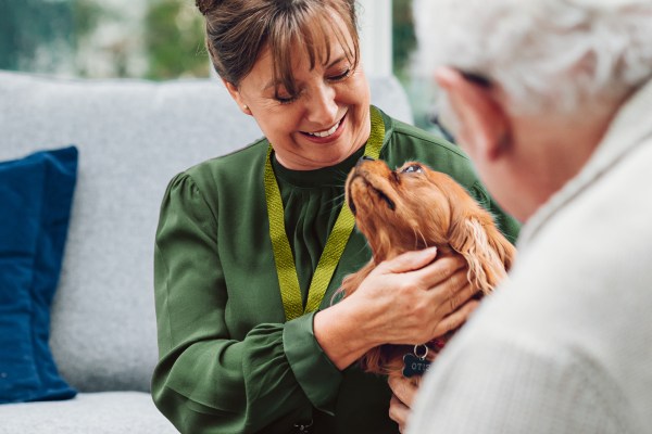 Home Instead (Southampton), Southampton, Hampshire