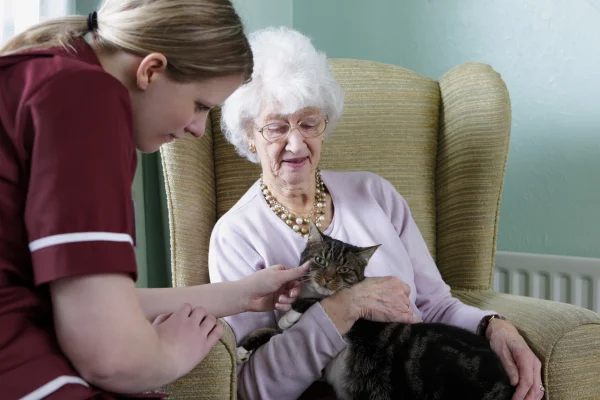 Burley's Home Care Services, Christchurch