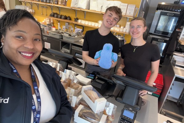 Bluebird Care Wiltshire South, Salisbury