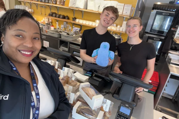 Bluebird Care Wiltshire South, Salisbury