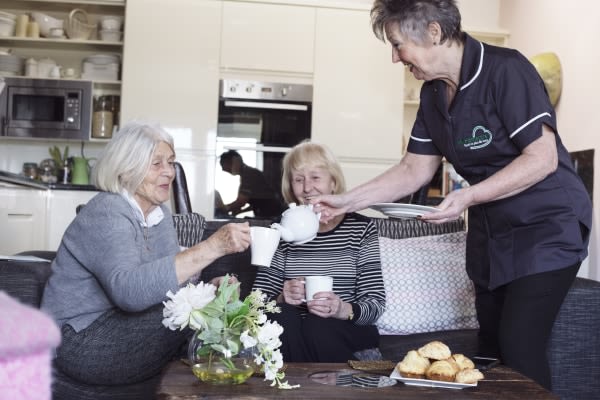 The Care and Support Group County Durham, Stanley, Durham