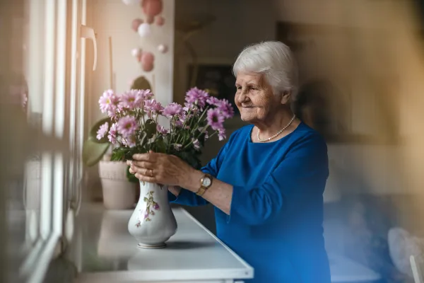 Bluebird Care Worcester, Wychavon & North Cotswolds, Evesham