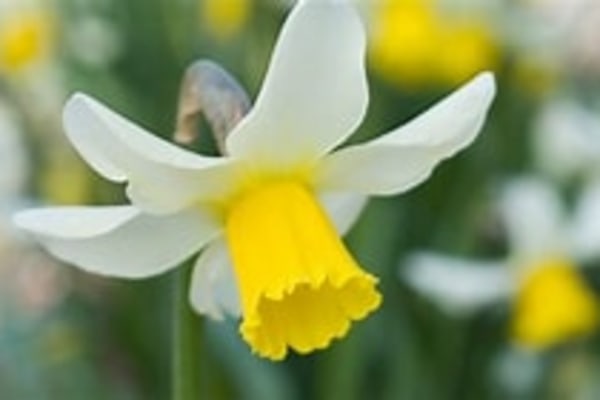 Wyndsor Home Care Ltd WR4 0BJ