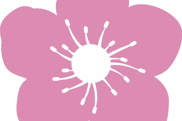 Blossom Home Care York, The Raylor Centre