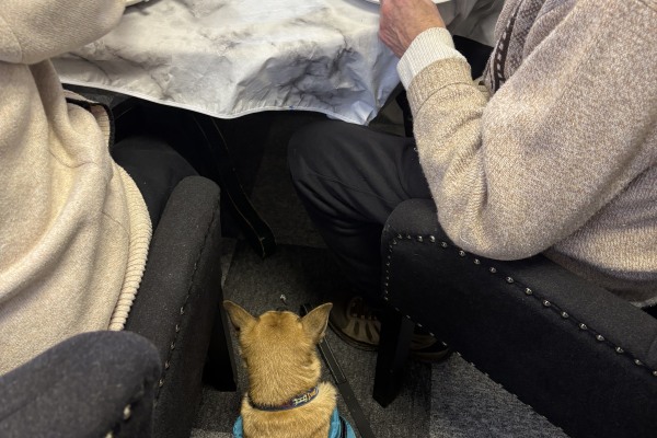 Aphoenix Care PE11 3QG