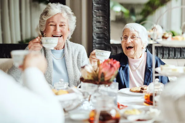 Beaumont Home Care, Ingatestone