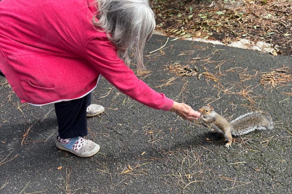 Neways at Home (Home Care & Live-in Care), Weymouth, Dorset