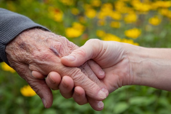 Bluebird Care Ayrshire, Prestwick, Ayrshire