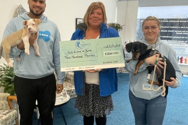 Bluebird Care Ayrshire, Unit 4, Prestwick Business Centre