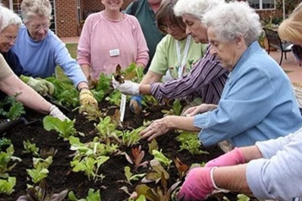 BlueWave Care Ltd formerly known as 247 Somerset Care Services, 56 Port Stanley Close