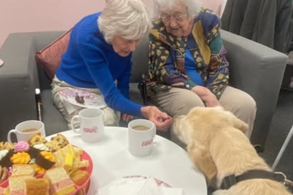 Guardian Angel Carers Windsor and Maidenhead, 59-60 Thames Street