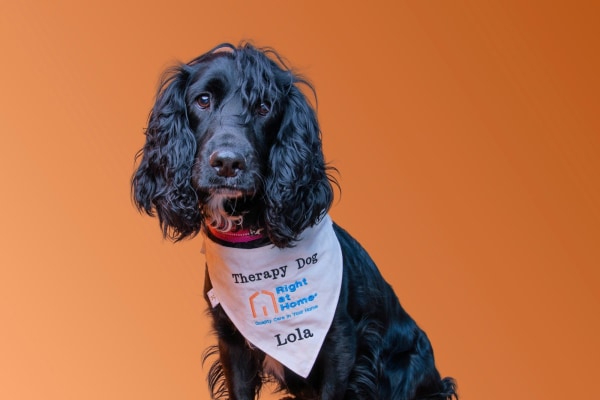 Right at Home Salisbury & Andover SP4 6EB