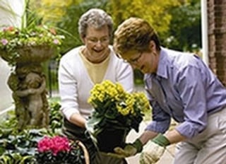 Home Care Agencies In Hemel Hempstead Home Care Agencies In Hemel Hempstead