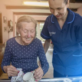 Bluebird Care Richmond & Twickenham