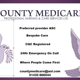 County Medicare Professional Nursing & Care Services Ltd